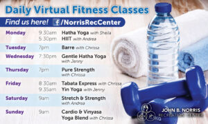 Virtual Fitness Classes