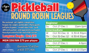 Pickleball Leagues