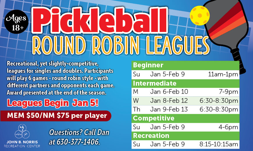 Pickleball Leagues